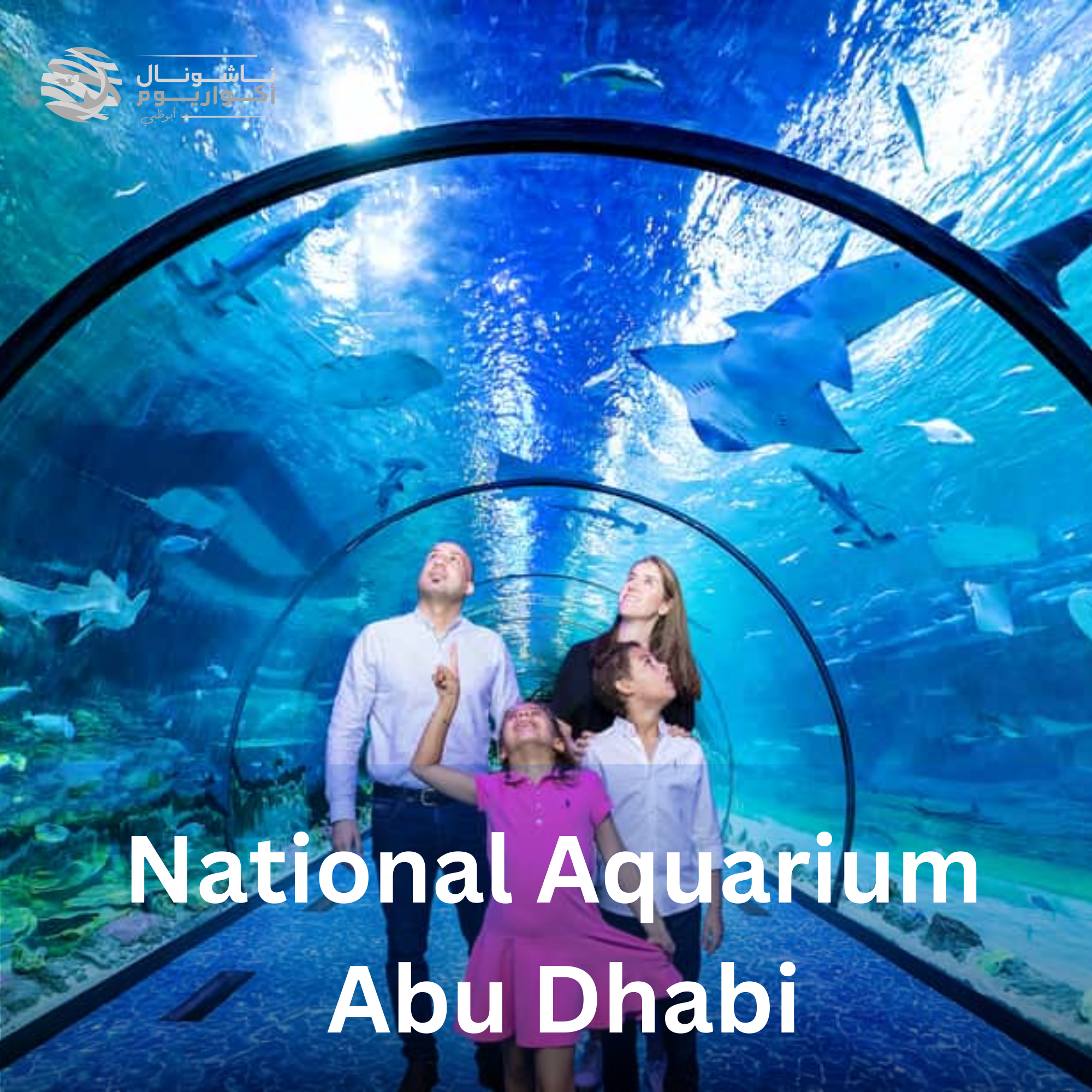 National Aquarium