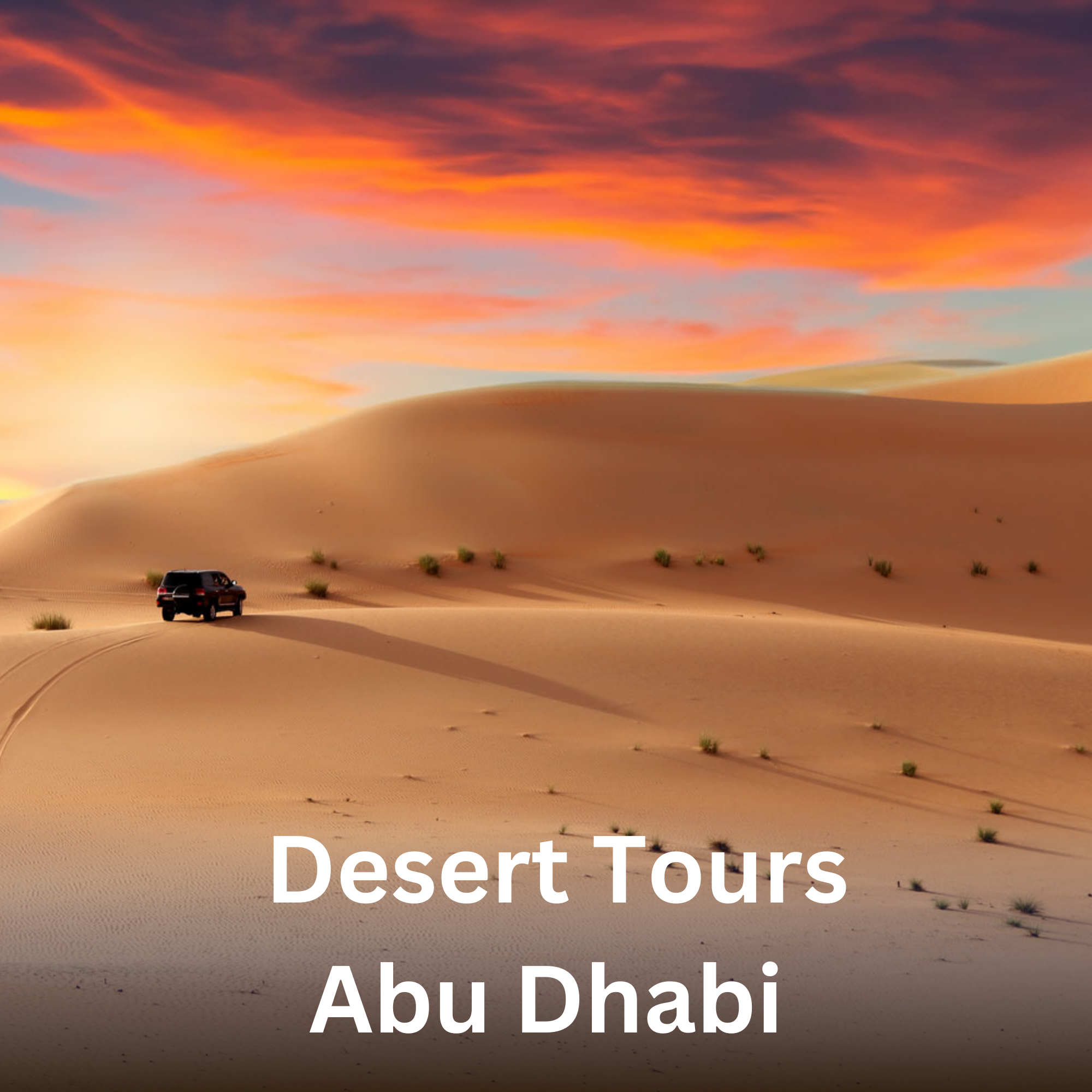 Desert Tour