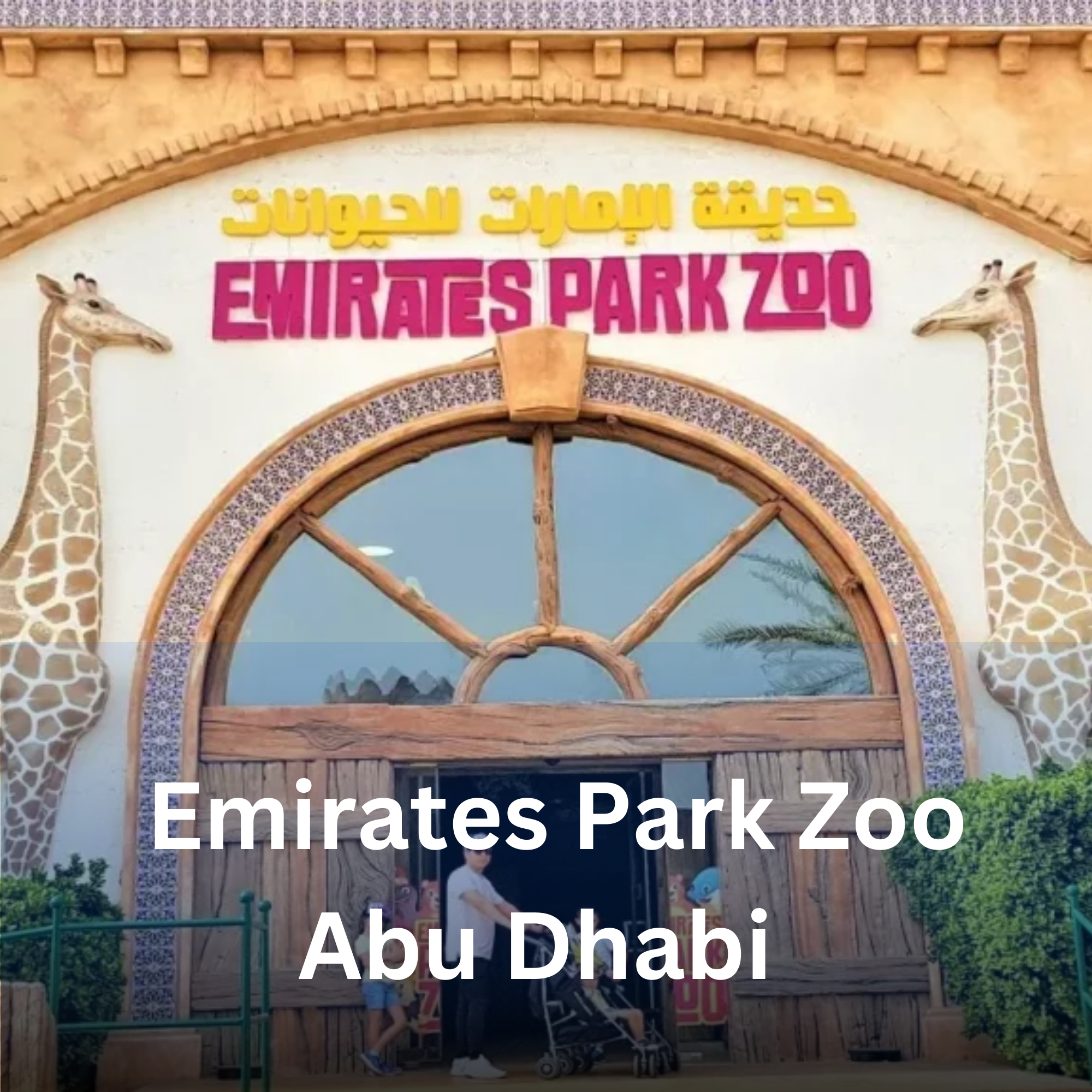 Emirates Zoo