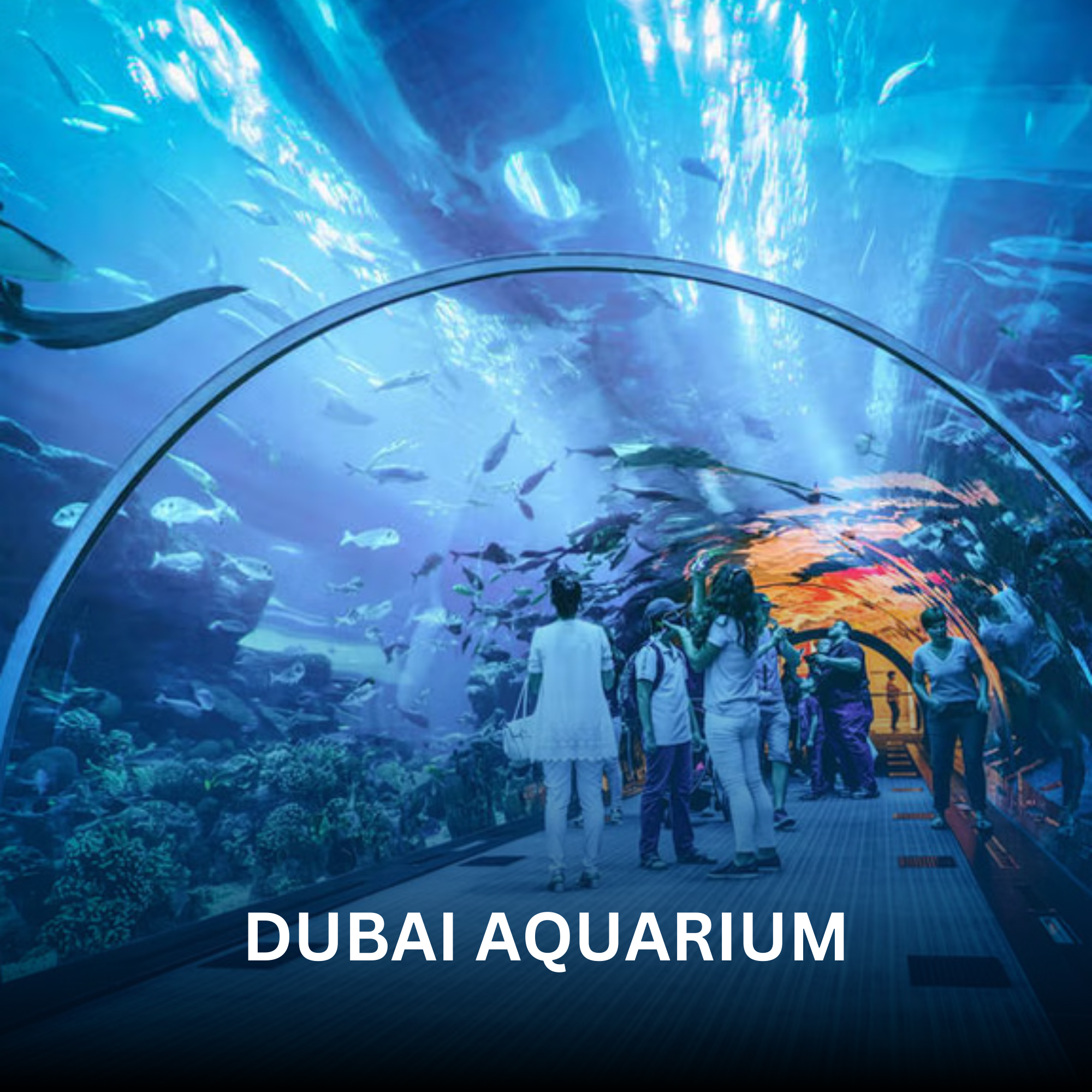 Dubai Aquarium