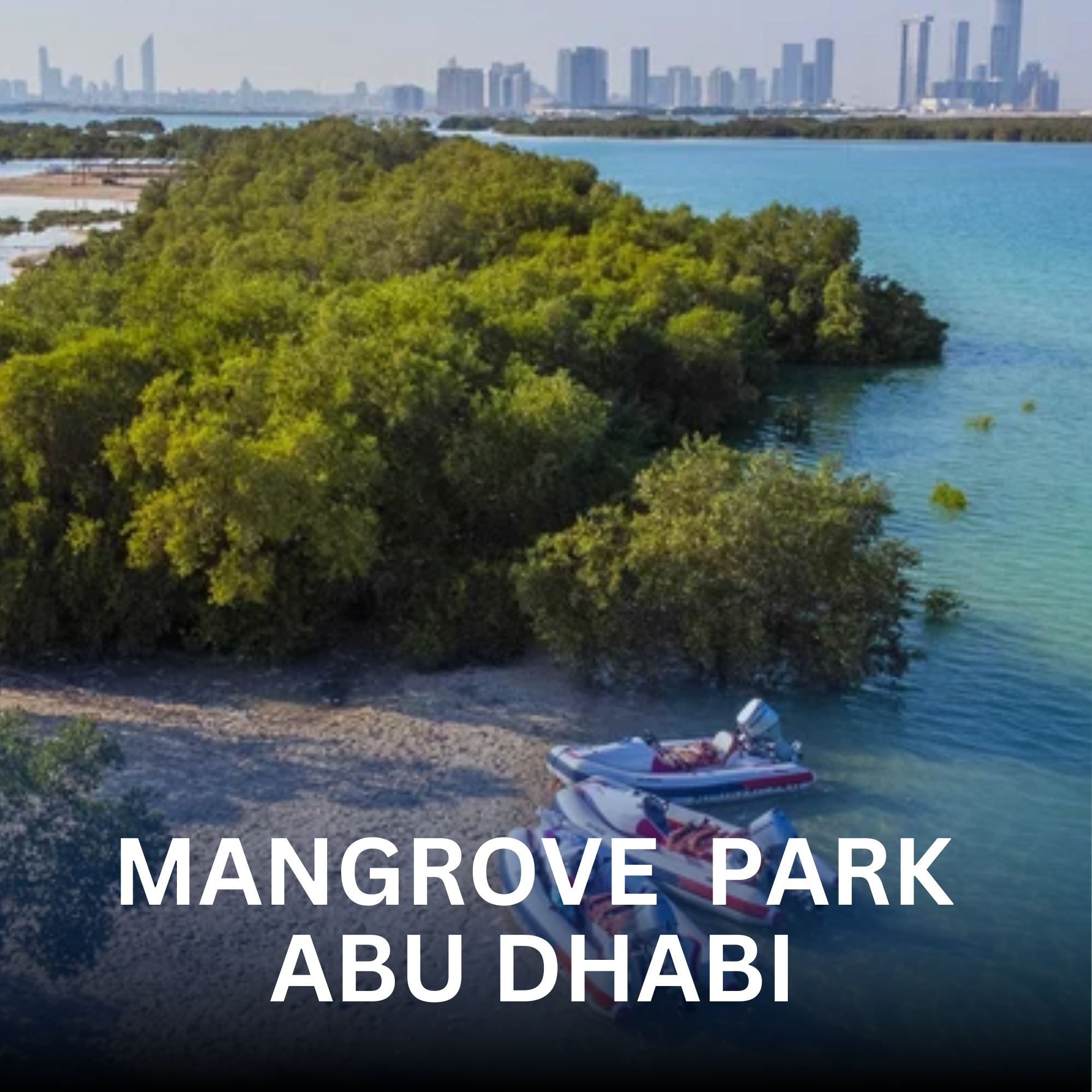 Mangrove Park
